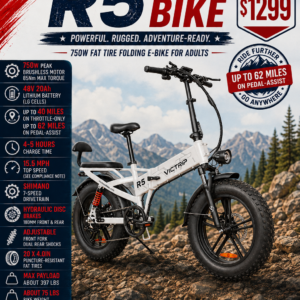 Buy Victrip R5 Electric Bike