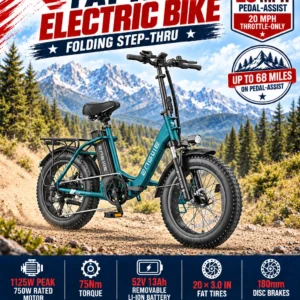 ENGWE L20 2.0 Fat Tire Electric Bike For Sale In USA